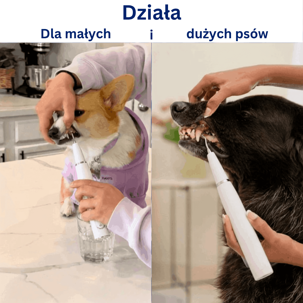 🐾 PAWSONIC™ Ultradźwiękowy zestaw do usuwania kamienia nazębnego u psów